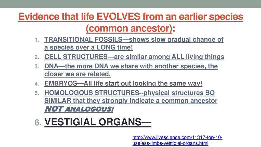 Evidence that life EVOLVES from an earlier species (common ancestor):