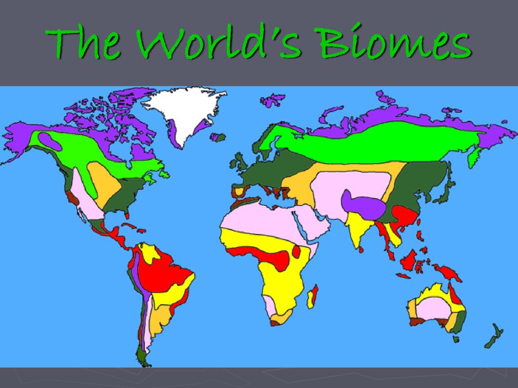 The World’s Biomes.