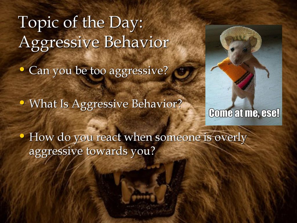 Types of Aggressive Behavior - ppt download