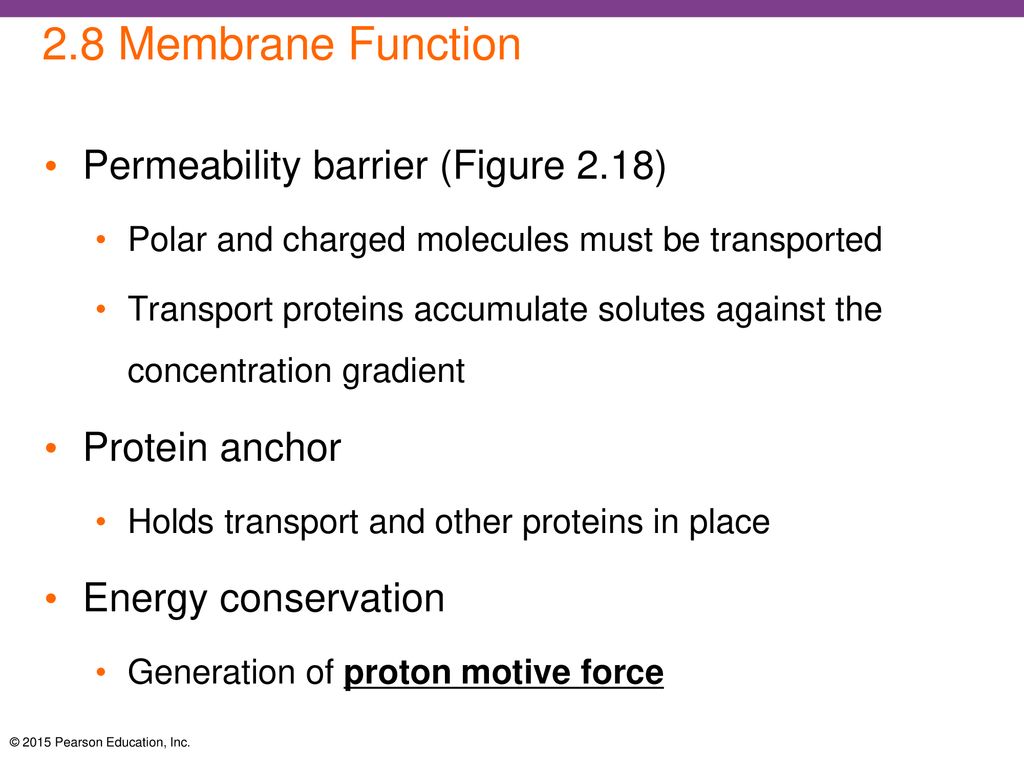 Main concept 1 microbial form and function ppt download