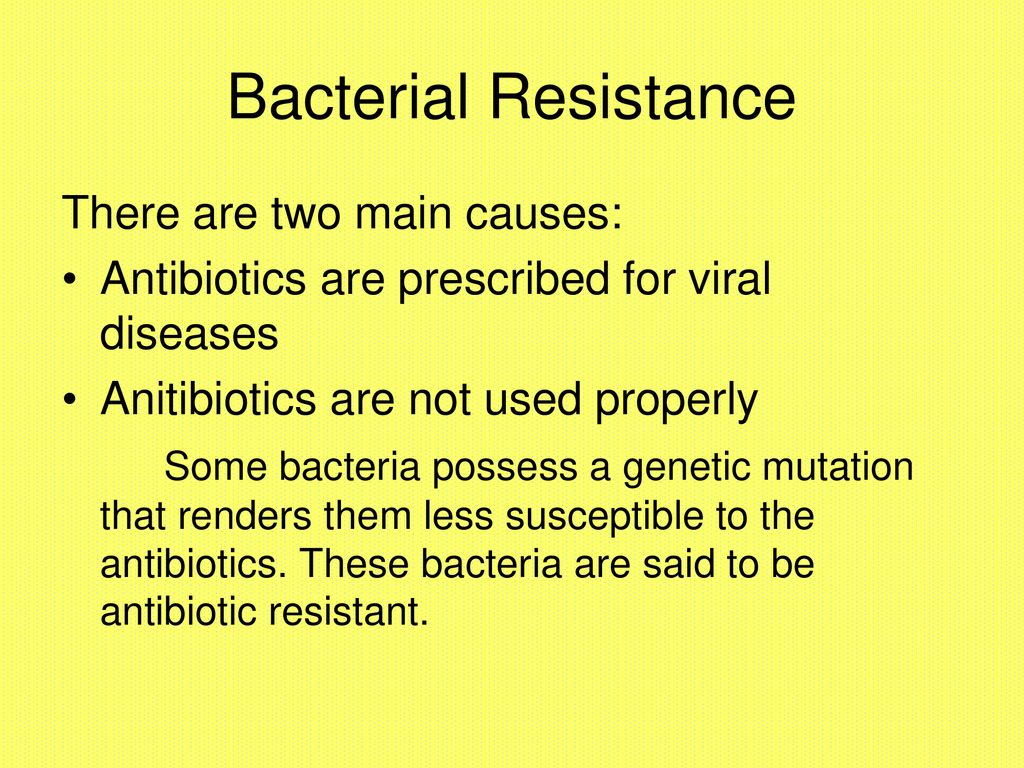 Chapter 20 Section 1 Bacteria - ppt download