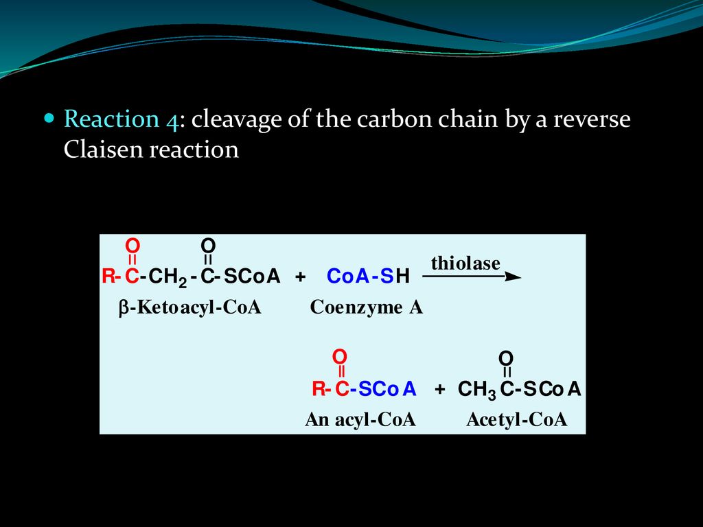Reaction 4: cleavage of the carbon chain by a reverse Claisen reaction