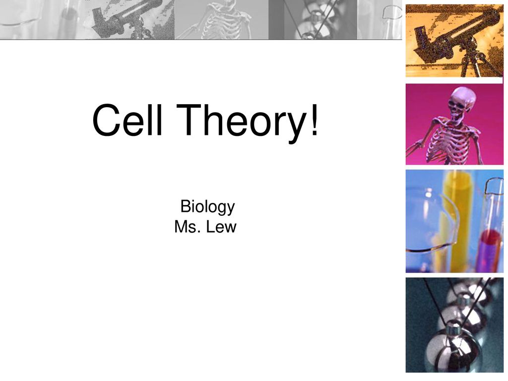 Cell Theory! Biology Ms. Lew