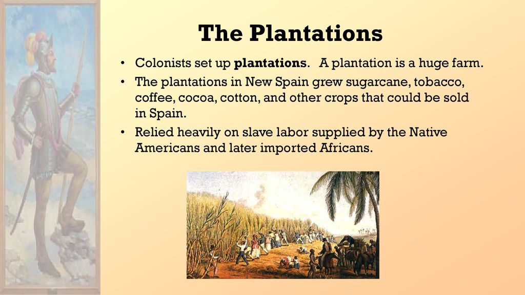 The Plantations Colonists set up plantations. A plantation is a huge farm.