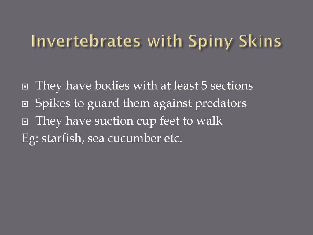 CLASSIFICATION What is classification. Sorting out things - ppt download