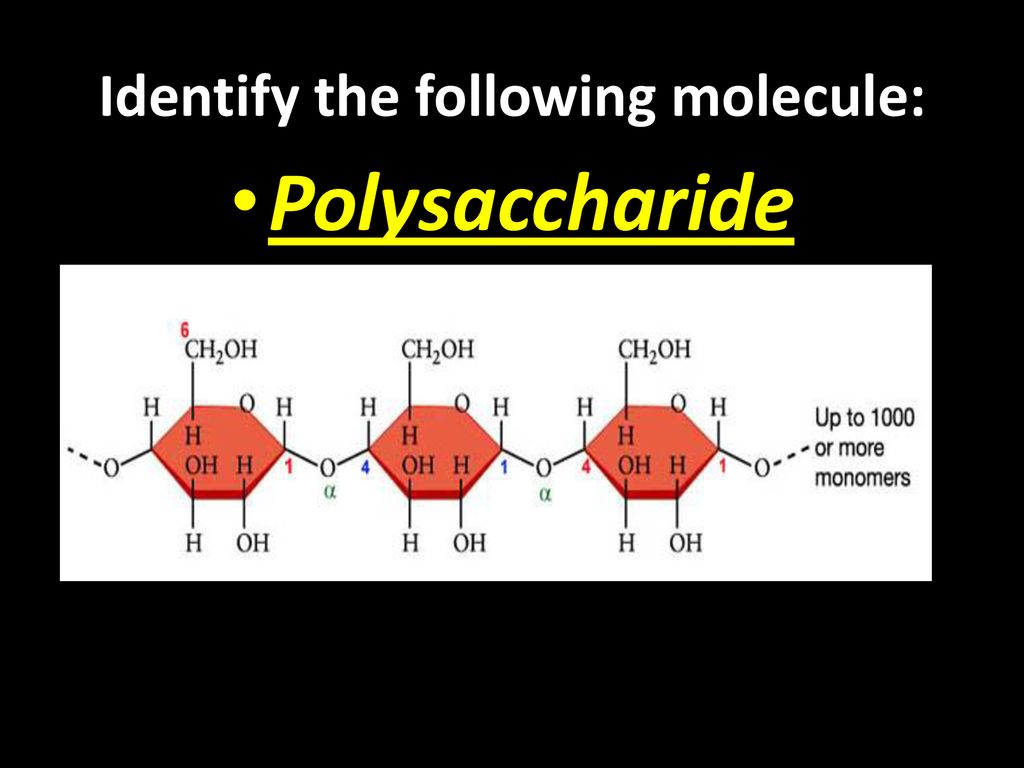 Identify the following molecule:
