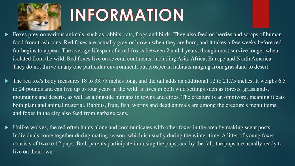 FOX WITH JOINT INFO. - ppt download