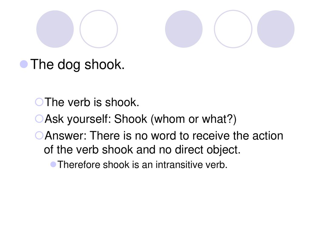 The dog shook. The verb is shook. Ask yourself: Shook (whom or what )