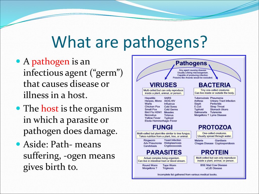 Introduction to pathogens ppt download
