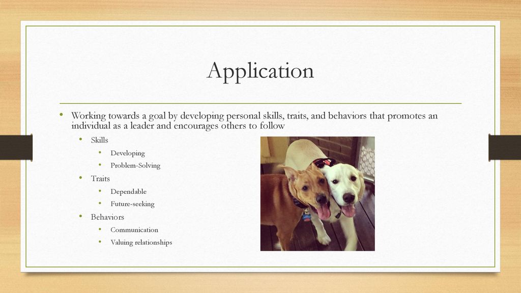 Personal Leadership: Anything is PAWSable Theory - ppt download