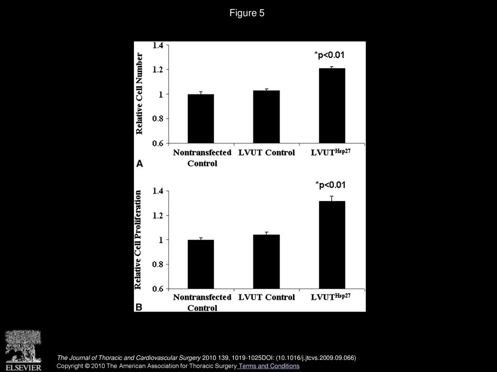 Heat shock protein 27: Induction by gastroduodenal reflux in vivo and ... Biology Diagrams