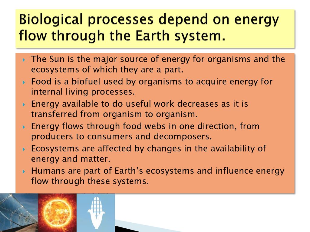 Biological processes depend on energy flow through the Earth system.