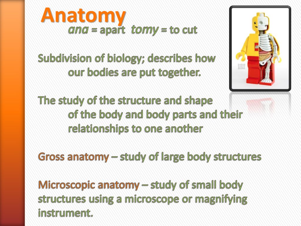 Introduction & Overview Chapter 1 Biology Diagrams