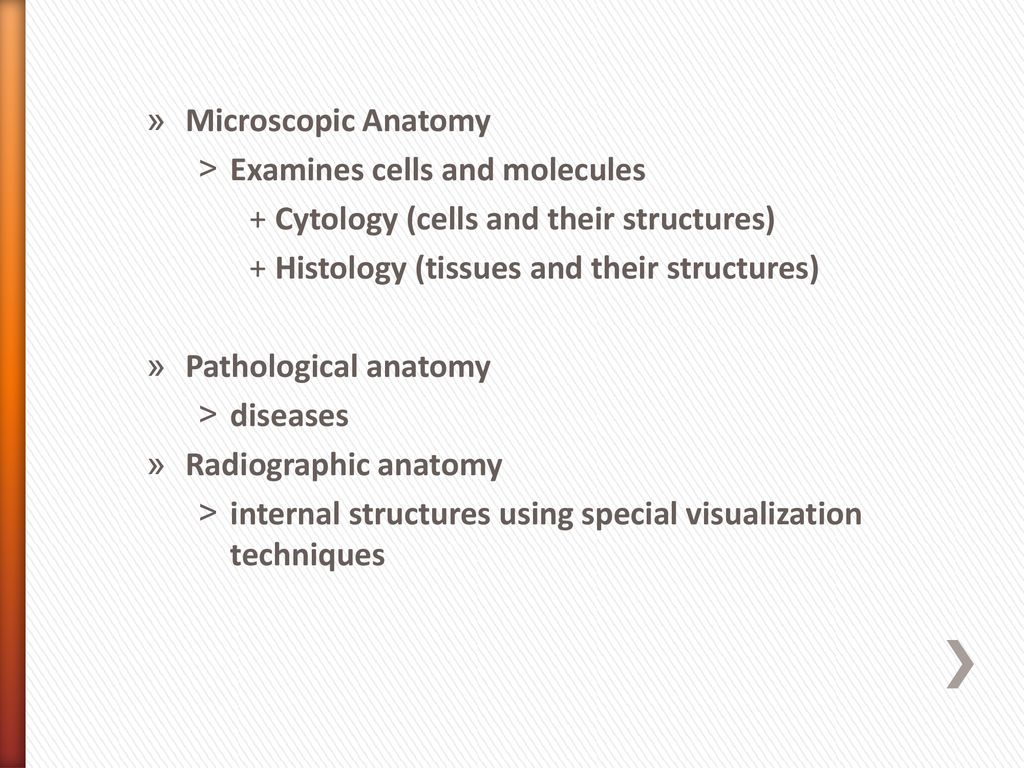 Introduction & Overview Chapter 1 Biology Diagrams