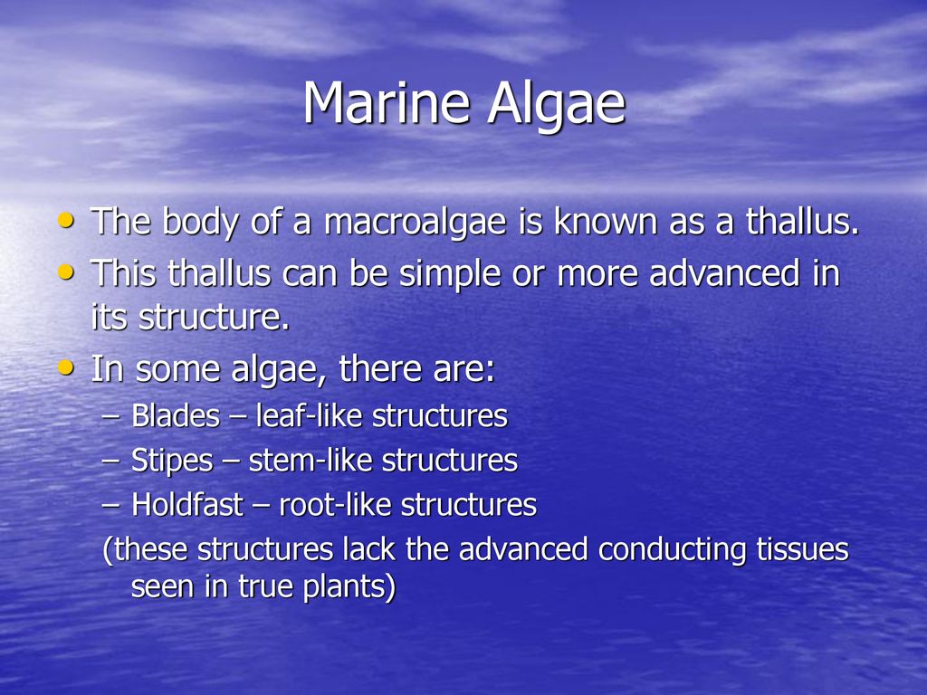 Chapter 6 Lecture Slides Ppt Download chapter-6-lecture-slides-ppt-download