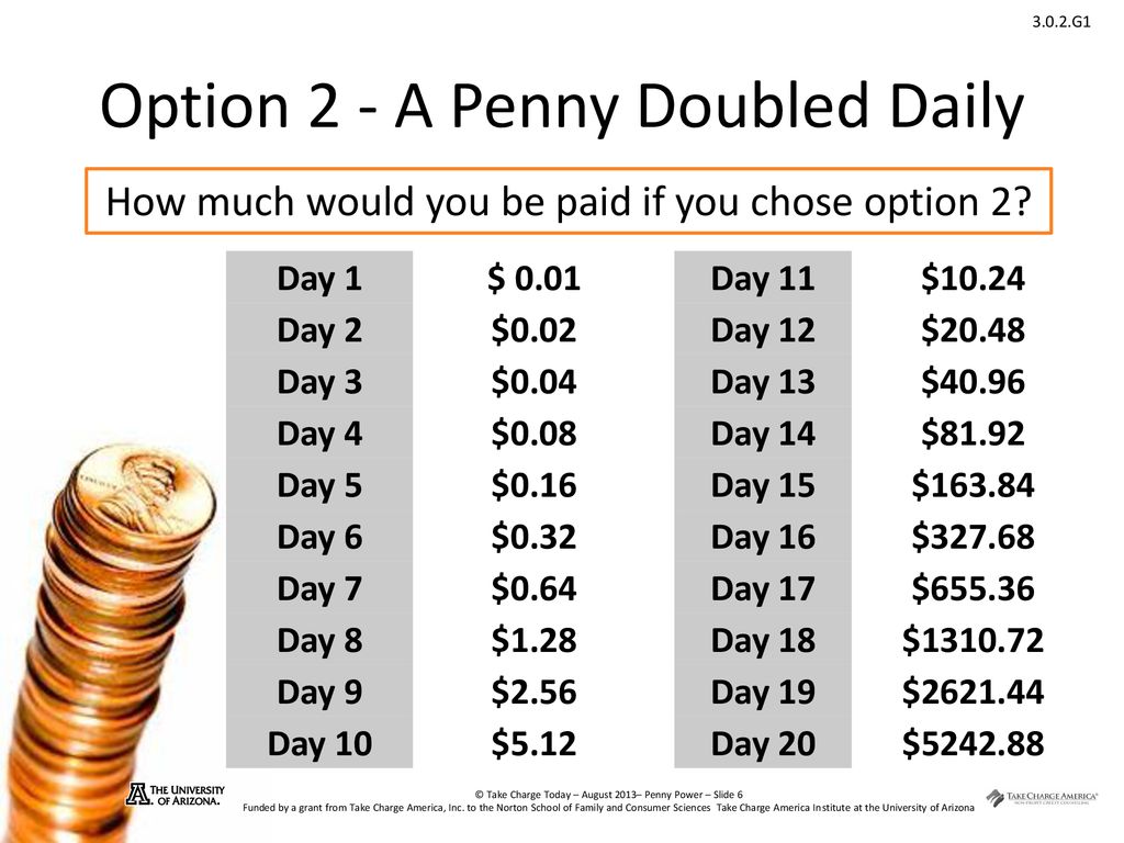 Option 2 - A Penny Doubled Daily