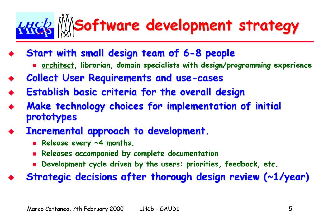 Software development strategy