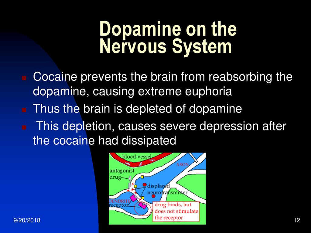 Cocaine and its affects on humans ppt download