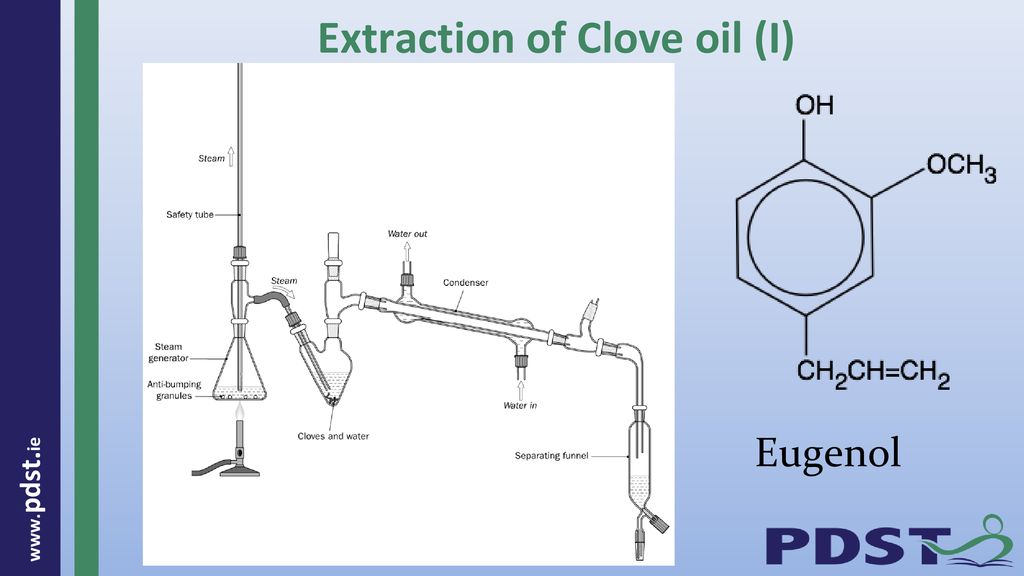 Extraction of Clove oil (I)