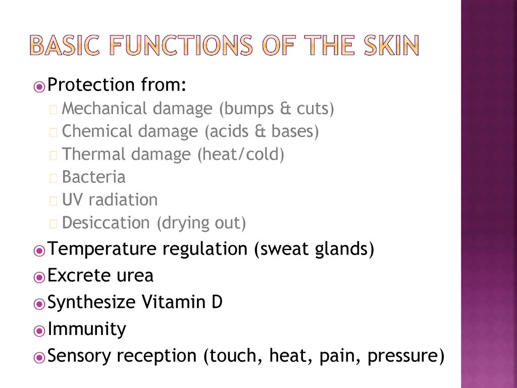 Chapter ppt download Biology Diagrams