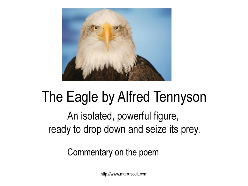 The Eagle by Alfred Tennyson ppt download
