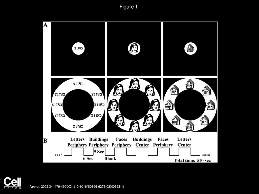 Figure 1 Concurrent Mapping of Eccentricity and Object Selectivity (Experiment 1)