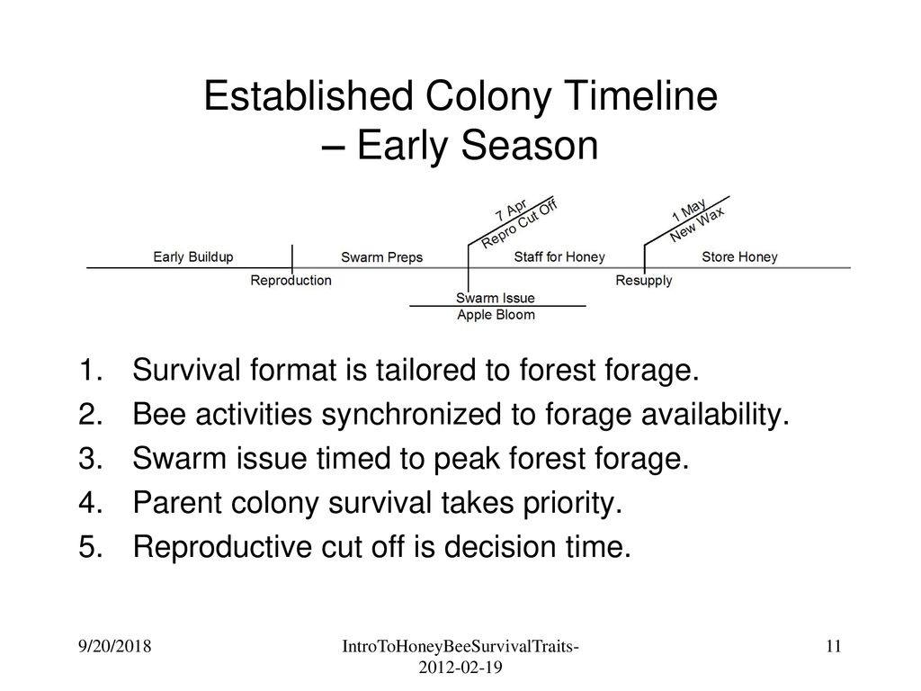 Established Colony Timeline – Early Season