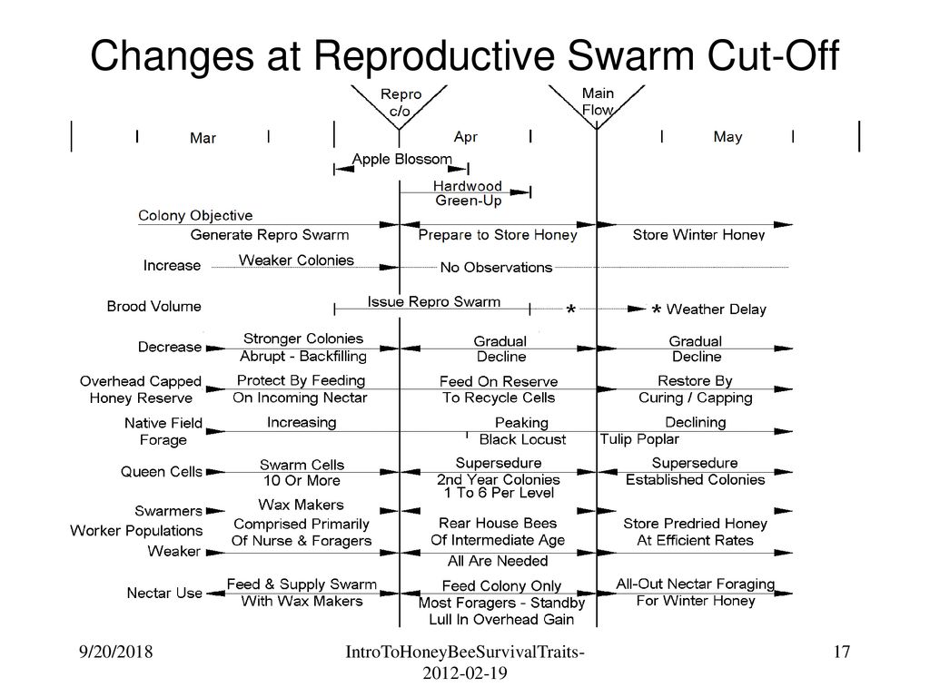 Changes at Reproductive Swarm Cut-Off