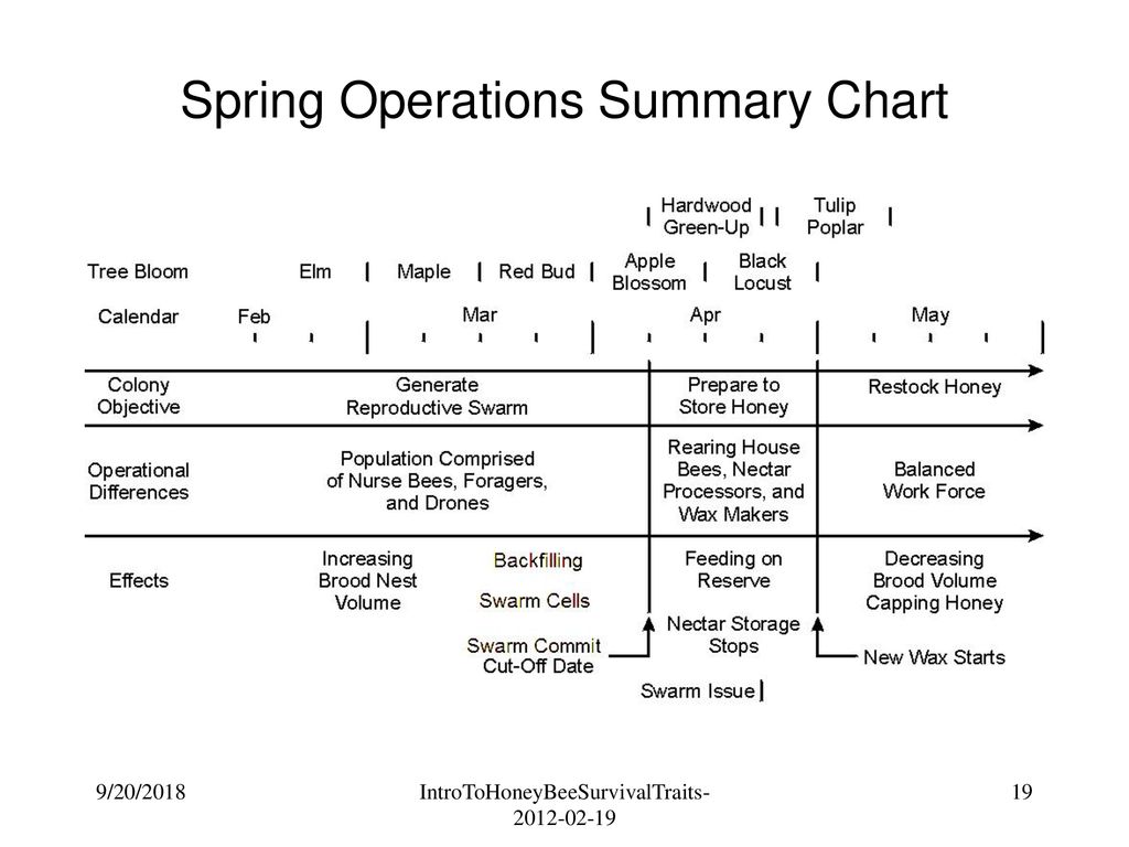 Spring Operations Summary Chart