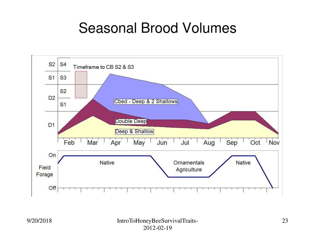Seasonal Brood Volumes