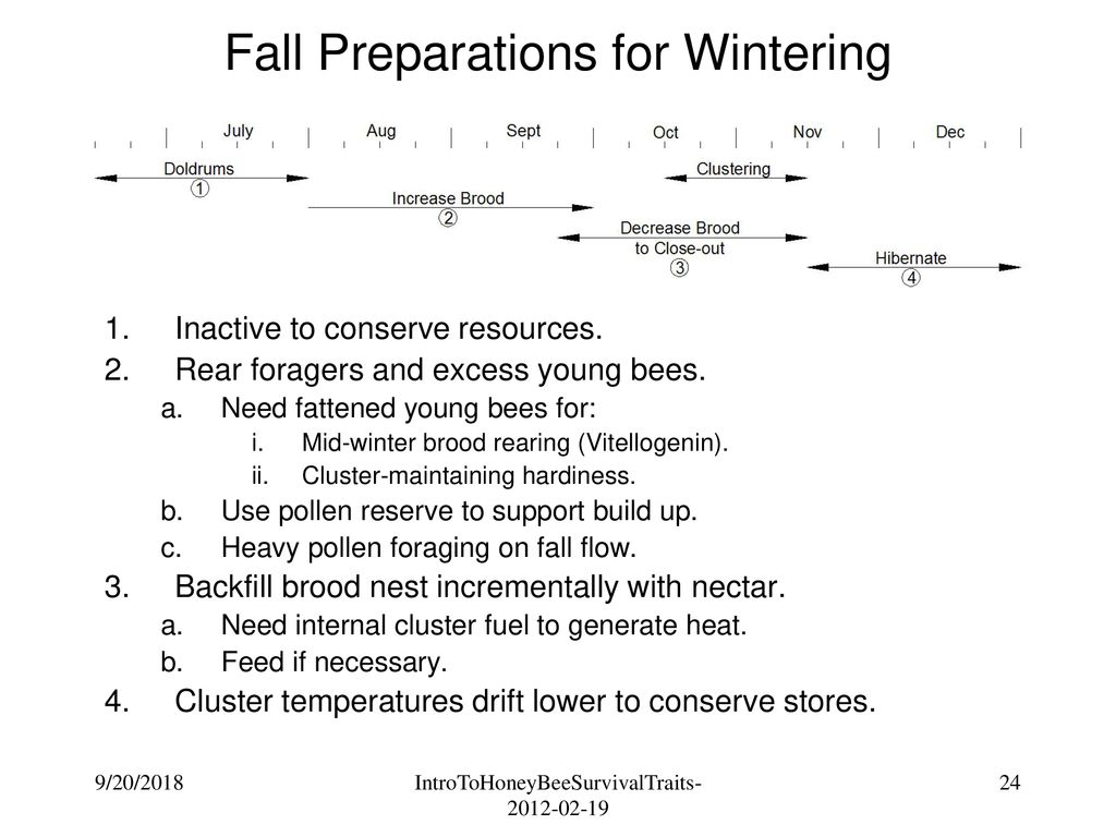 Fall Preparations for Wintering