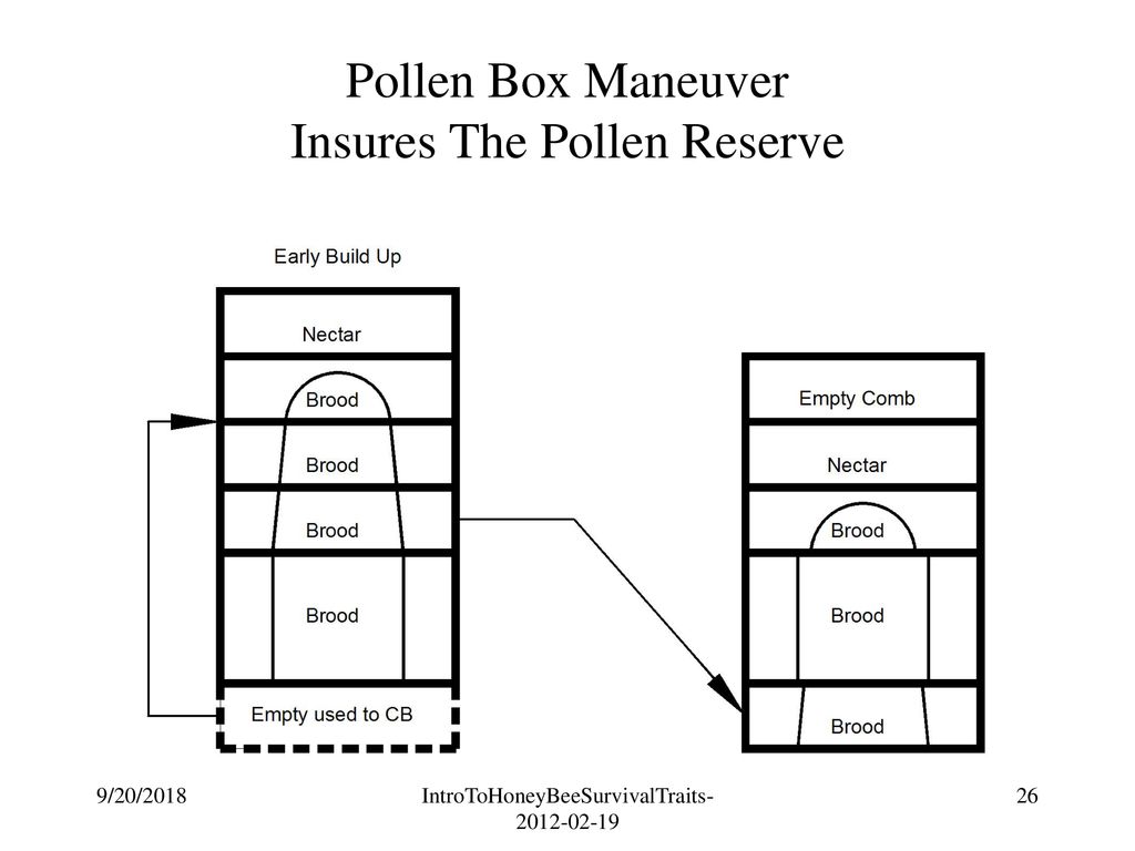 Pollen Box Maneuver Insures The Pollen Reserve