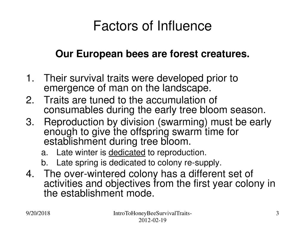 Our European bees are forest creatures.