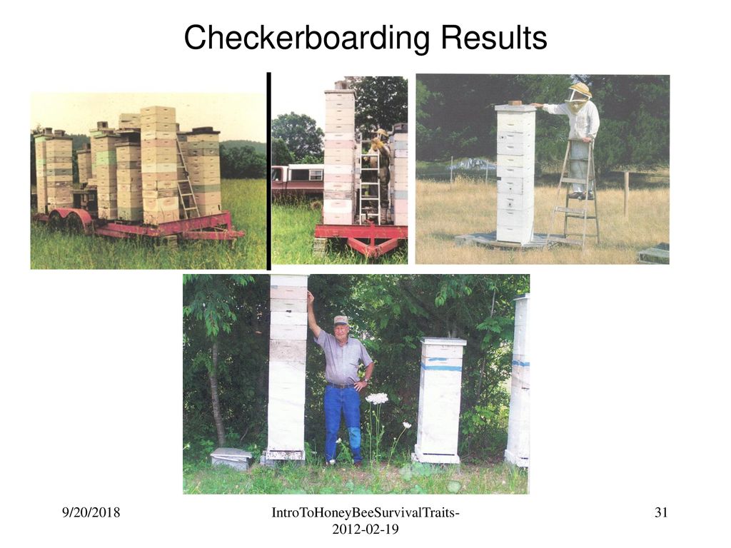 Checkerboarding Results