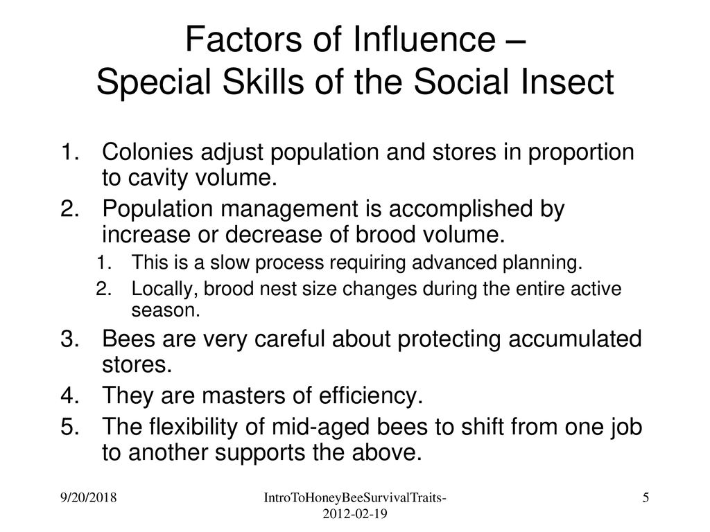 Factors of Influence – Special Skills of the Social Insect