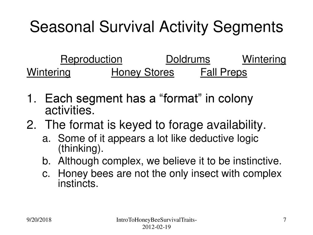 Seasonal Survival Activity Segments