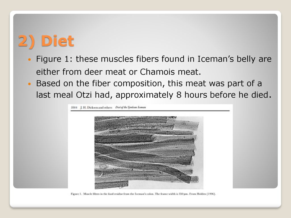 Otzi The Iceman Death Or Murder Ppt Download