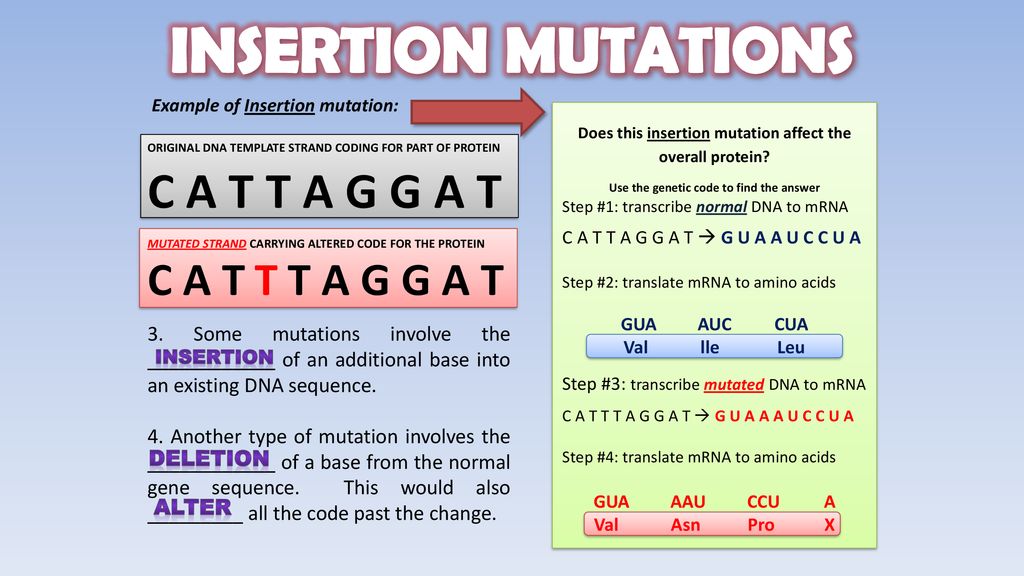 Focus Questions Describe What A Mutation Is And How It Can Affect An  Organism? What Are 3 Different Kinds Of Mutations? Explain How A Change In  The Sequence. - Ppt Download