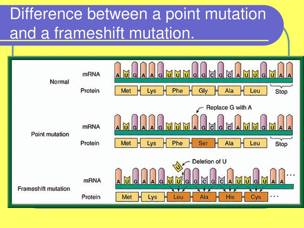Global mutation. Frameshift Mutation. Types of Mutation Substitution. Миссенс мутация. Frameshift мутация.
