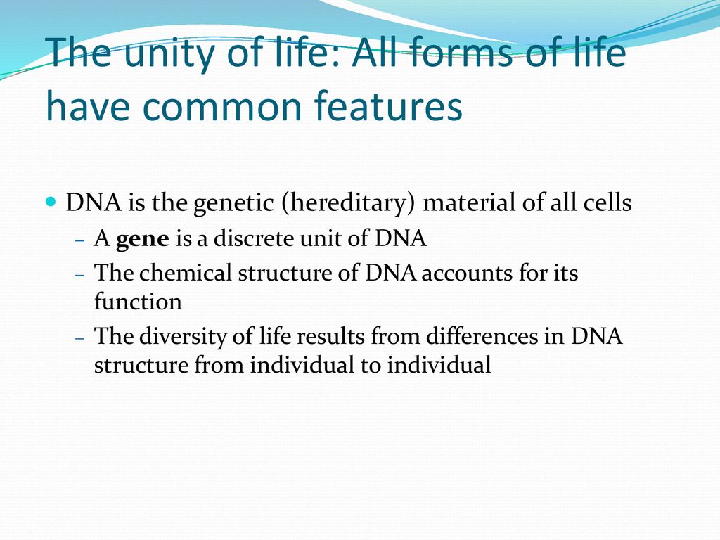 The unity of life: All forms of life have common features