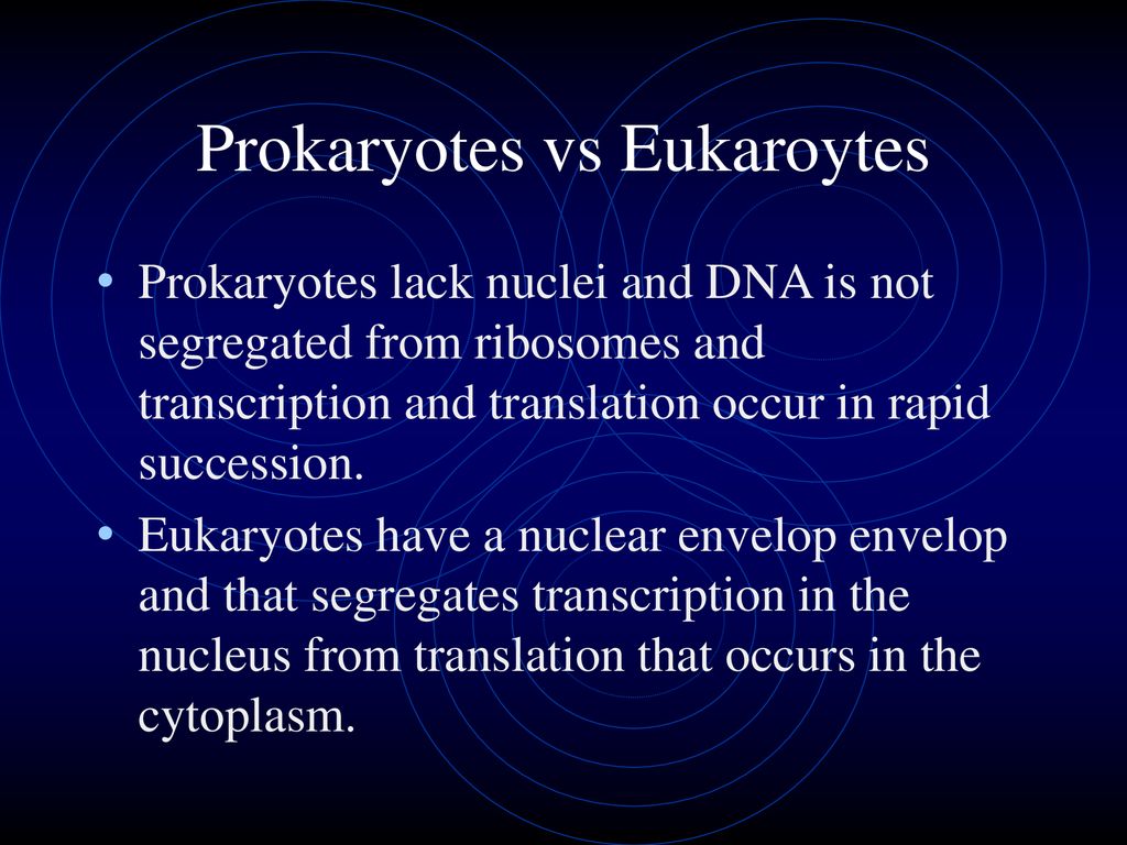 GENE to PROTEIN. - ppt download