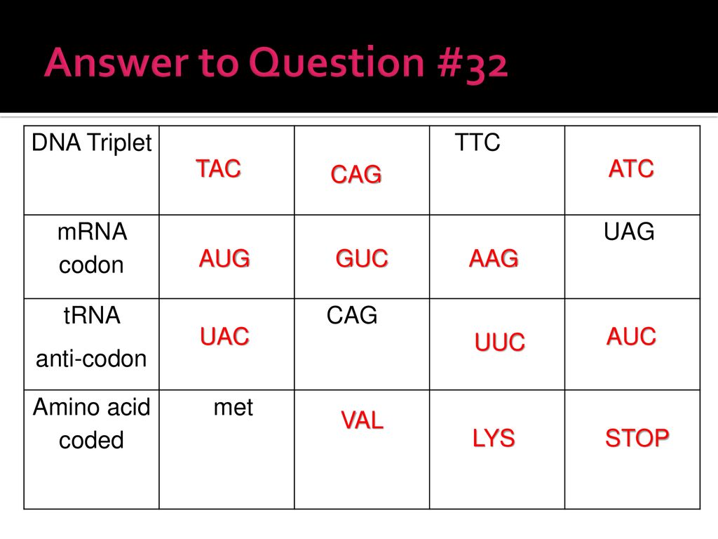 Trna Anticodon Chart