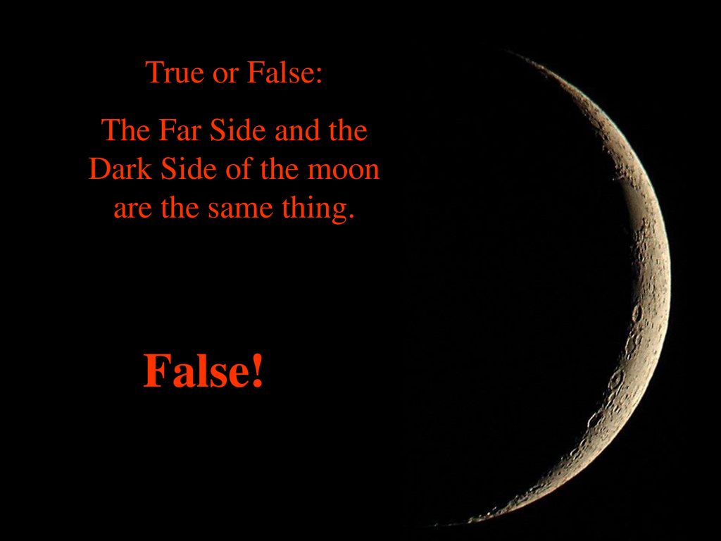As a table group arrange the moon phase cards in the order you would