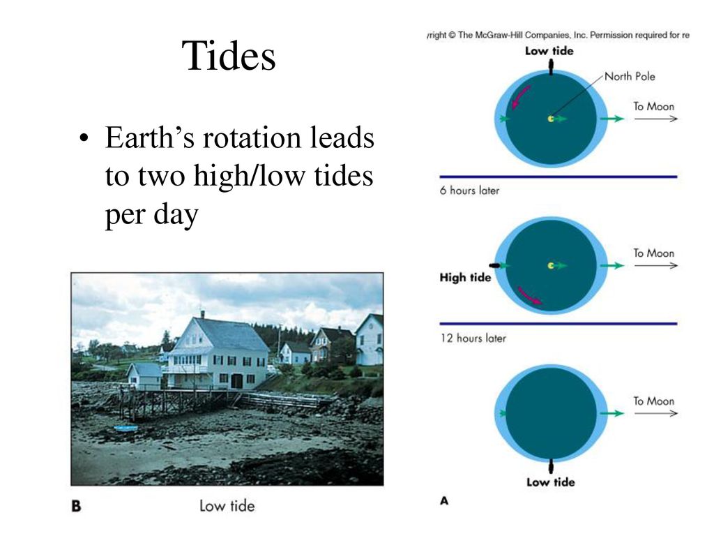 Tides Earth’s rotation leads to two high/low tides per day