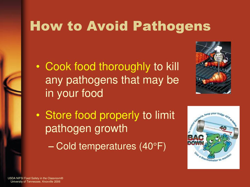 Introduction To Bacteria - Ppt Download