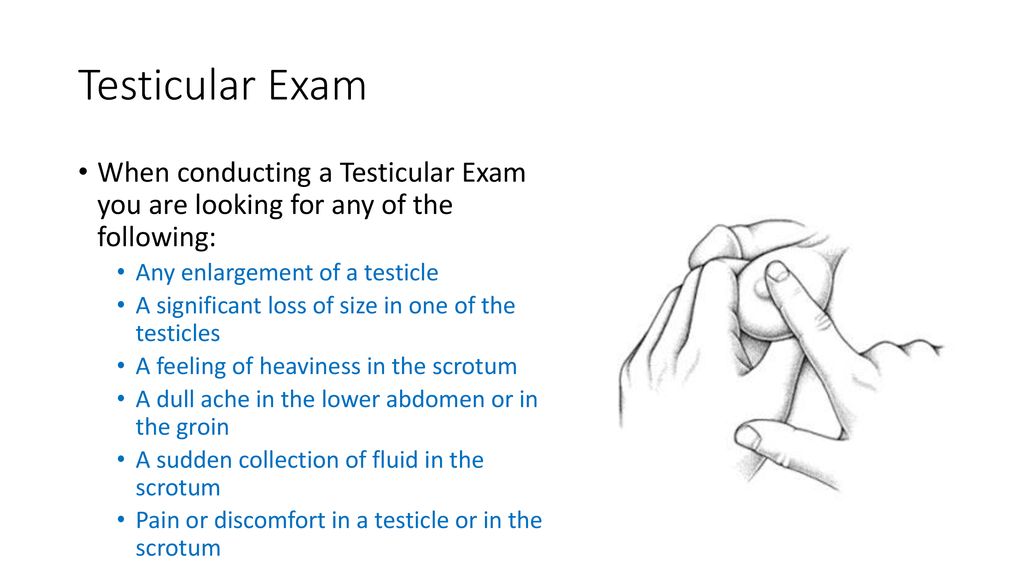 Reproductive Systems Unit 6 Lesson Ppt Download reproductive-systems-unit-6-lesson-ppt-download