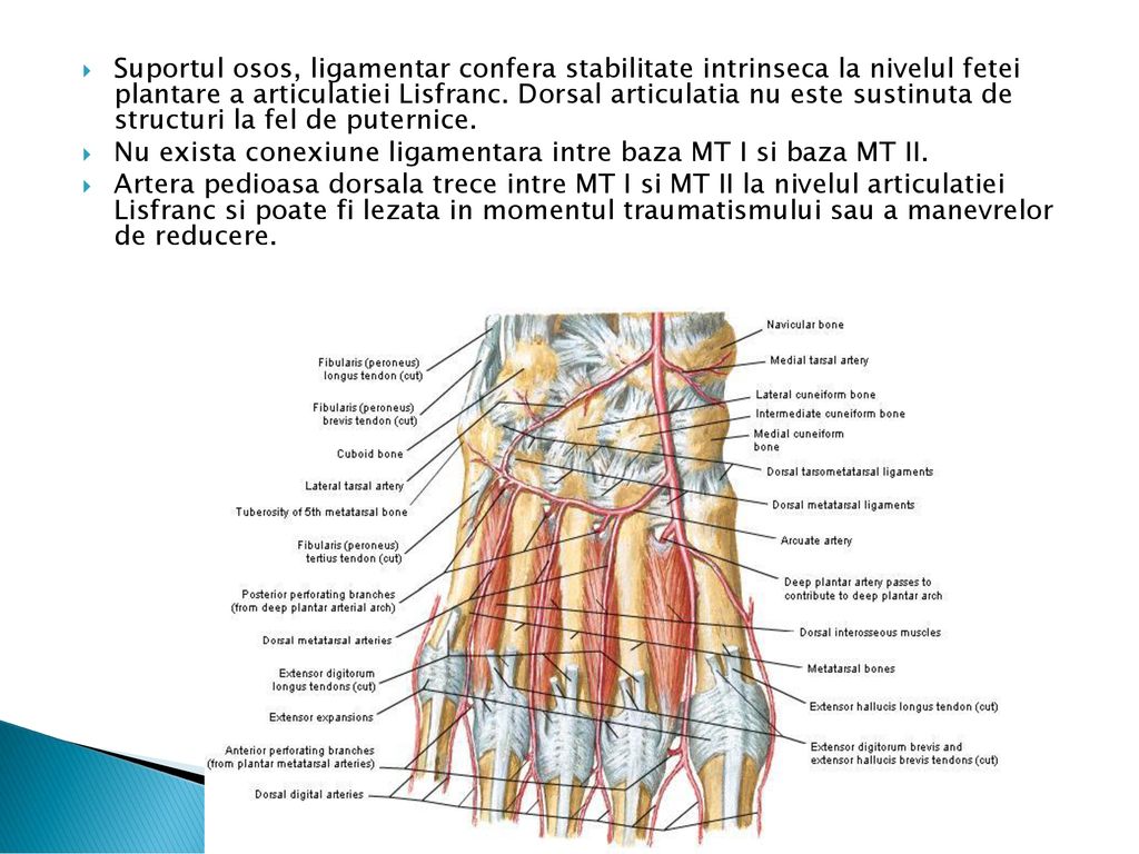 artrită articulații mâini recenzii prima etapă de artroză a articulației șoldului