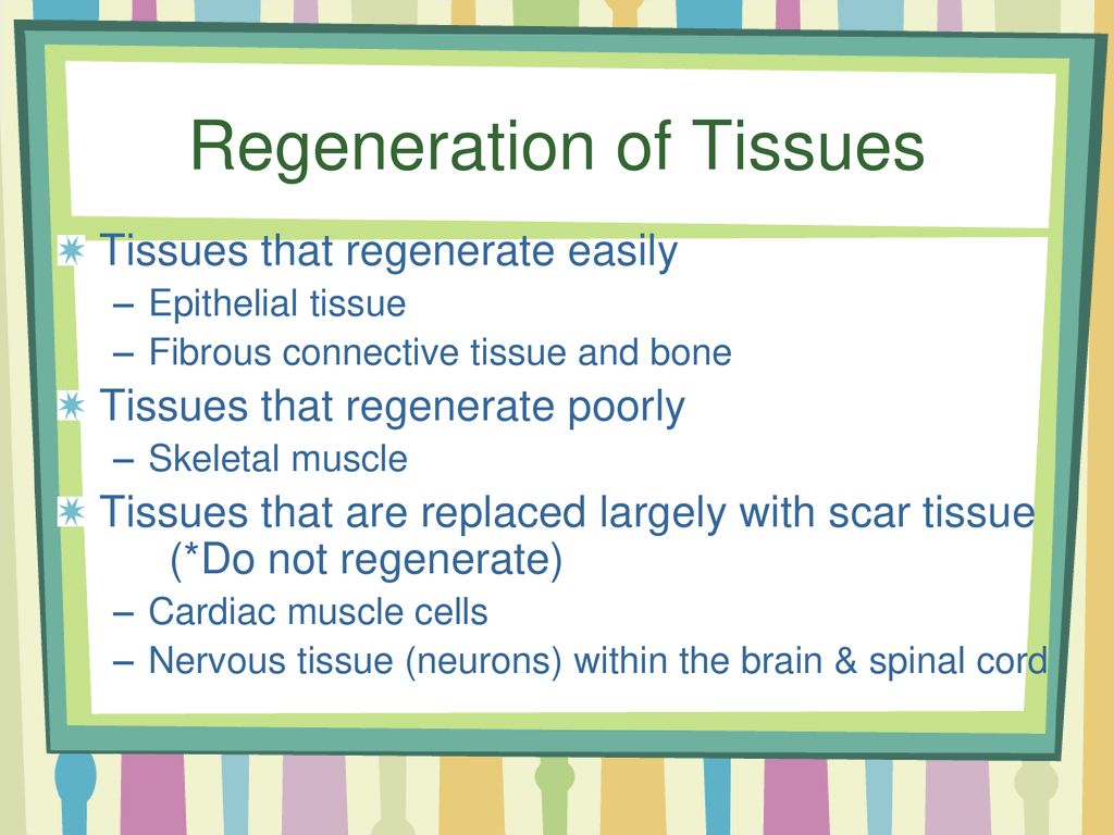 Chapter 3 Tissues. - ppt download