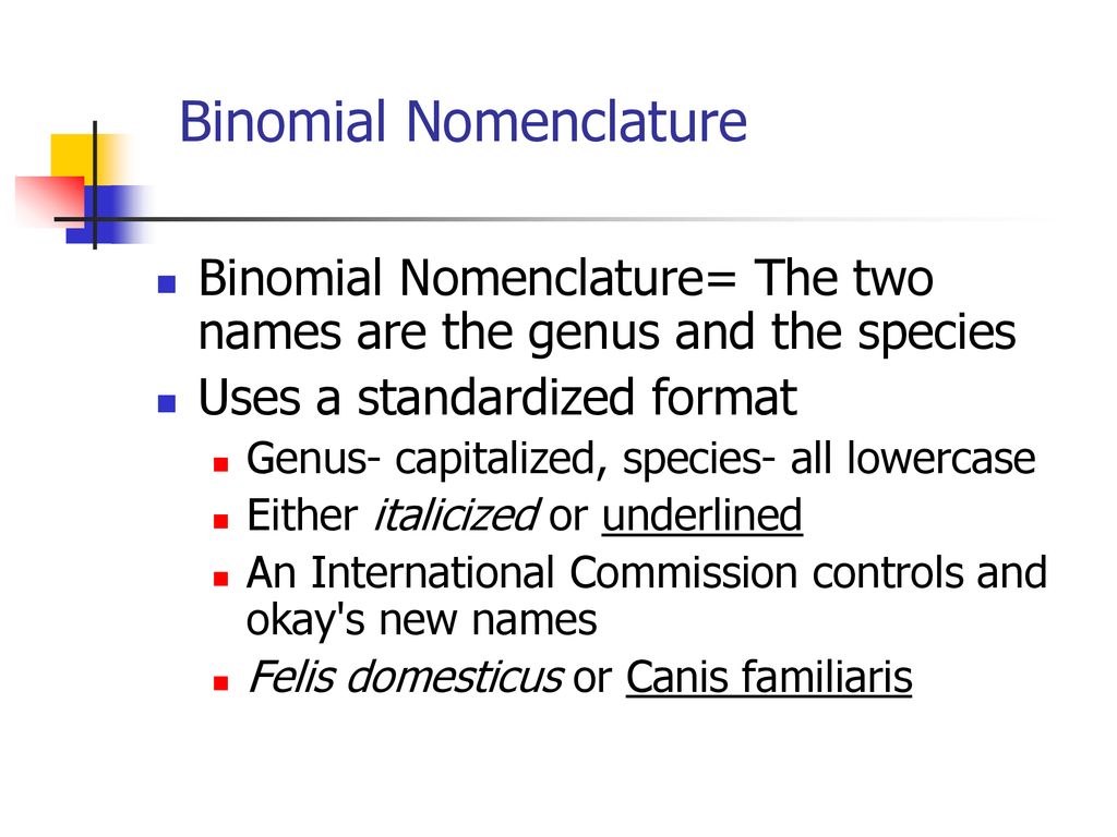 Taxonomy & Binomial Nomenclature - ppt download