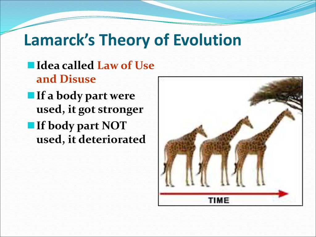 5.4 Evolution. - ppt download